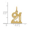 Black Bow Jewelry 14k Yellow Gold Diamond Cut 21 Pendant, 12mm - 4 of 4