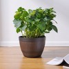 VECELO 9/11.3/13 in. Planters, Plastic Pot with Perforated Tray, Decorative Foliage Plants, Vintage Planters 3-Piece Set, Artificial Wood Planters - 3 of 4