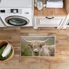 Stupell Industries Highland Cattle Dreams Printed Plush Bath Mat And Bath Rug, Design By Kim Allen, 18"X30" - 4 of 4