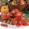 Hutzler Tomato Saver by Gourmac, Red - 3 of 4