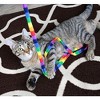 Cat Dancer Rainbow Cat Charmer, 2 Pack - 2 of 4