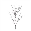 Birch Twig Branch (Set of 6) - 2 of 2