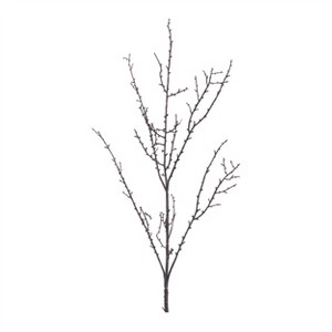 Birch Twig Branch (Set of 6) - 1 of 4