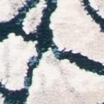 navy/ivory