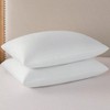 Goose Feathers Down Pillows, Cotton Cover, Queen Size 20x28, Set of 2 - 3 of 4