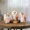 Terra Cotta Owl Décor (Set of 3) - 2 of 4