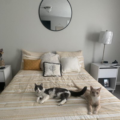 Guest review image 2 of 2, zoom in