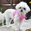 Doggie Design American River Choke Free Dog Polka Dot Ruffle Harness-Pink - 3 of 4