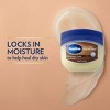 Vaseline Cocoa Butter Petroleum Jelly 7.5oz - 3 of 4