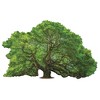 Madd Capp Puzzles: I Am Oak - 1000 Piece Tree Shaped Jigsaw Puzzle - 2 of 4