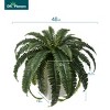 DR.Planzen Artificial Fern Plant with 33/39 leaves in 15.7"/16'' Plastic Planter (White/Coffee/Black) - Faux Indoor/Outdoor Plants Home Decor - 3 of 4