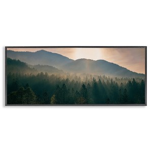 Stupell Industries Morning Sun over Misty Trees, 30" x 13" - 1 of 4