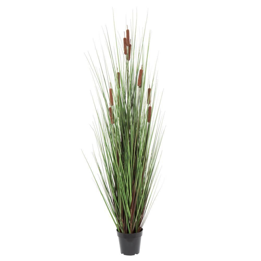 Photos - Other Decoration Vickerman Artificial Grass/Cattail Plant  Brown: PVC Faux Foliage, Indoor/Outdoor Decor, Pot Included (60")