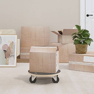vidaXL Transport Trolleys 2 pcs Round Ã˜15"x4.5" 551.2 lb - 1 of 4