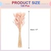 Unique Bargains Decorative Natural Dried Floral Bunny Tail Artificial Plants 120 Pcs - 2 of 4