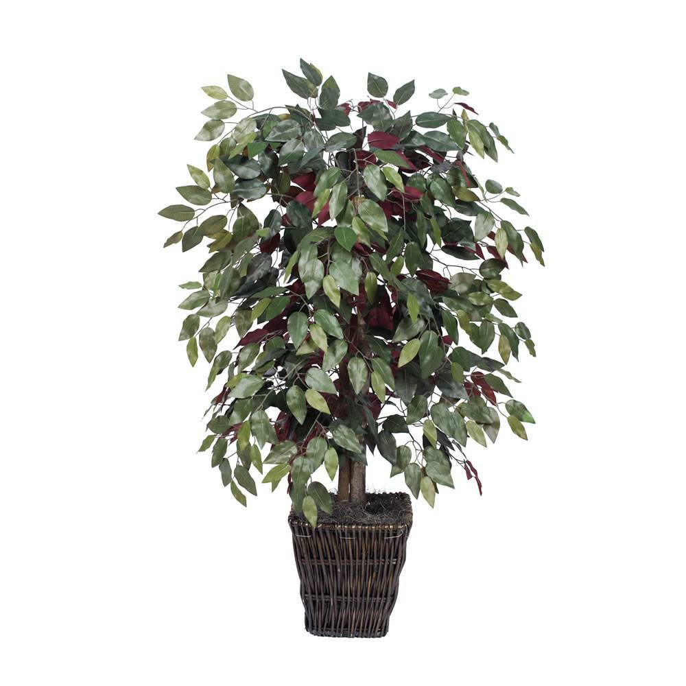 Photos - Garden & Outdoor Decoration Vickerman Capensia Bush in Square Willow Container :  Faux Ficus, Indoor Silk Plant, No Assembly Required (48")