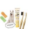 dr. Oakley Dental Care Dogs and Cats Grooming Kit - 6ct - 2 of 4