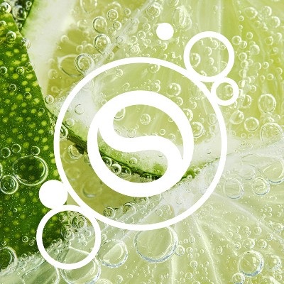 SodaStream Classics 4pk 14.9 fl oz Ginger Ale Drink Mix