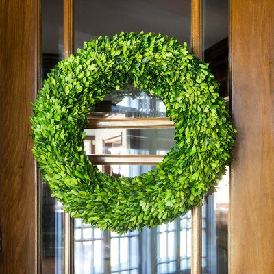 Park Hill Collection Preserved Boxwood Wreath Large