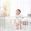 Sweet Jojo Designs Girl Baby Fitted Crib Sheet Pop Floral Pink and Blue - 2 of 4