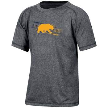 NCAA Cal Golden Bears Boys' Gray Poly T-Shirt