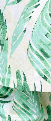 palm leaves - 5 ft 5 in & taller