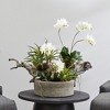 Nearly Natural Orchid & Succulent Garden with Driftwood & Decorative Vase - 2 of 2