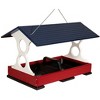 JCS Wildlife Large Fly Thru Bird Feeder- Mounting Pole Bundles Available - 2 of 4