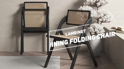 Sleek Black and Natural Cane Folding Side Chair Set