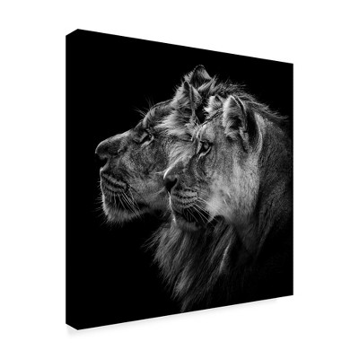 Trademark Fine Art -Laurent Lothare Dambreville 'Lion And Lioness Portrait' Canvas Art