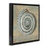 Stupell Industries Spiral Shell Beach Objects Design, 25" x 25" - 3 of 4