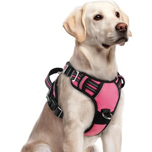 rabbitgoo Dog Harness for Large Dogs, No Pull Pet Vest with 3 Buckles, Adjustable Soft Padded Pet Harness Strips, Pink, L - 1 of 1