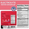 PowderVitamin Electrolytes Powder Plus™ 50 Servings - 2 of 4