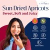 Eastanbul Sun Dried Apricots, Premium Dried Apricots No Sugar Added, Sulfur-Free Turkish Apricots, 12.35oz - 2 of 4