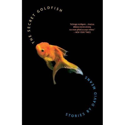 The Secret Goldfish - by  David Means (Paperback)