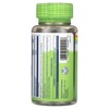 Solaray True Herbs, Echinacea Elderberry, 440 mg, 100 VegCaps - 3 of 4