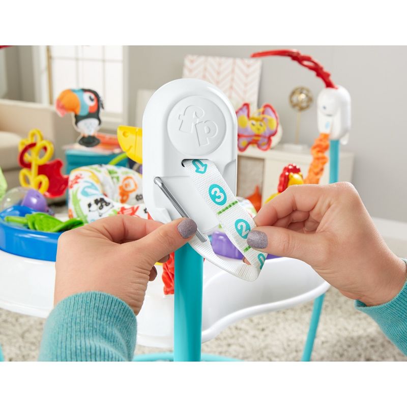 Fisher-Price Animal Activity Jumperoo, 4 of 20