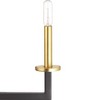 Progress Lighting Blakely 6-Light Chandelier, Steel, Graphite, Open Linear Form, Satin Brass Accents - 2 of 4