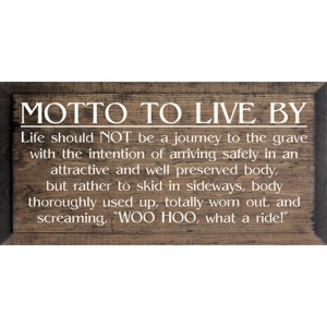 Slickblue Inspirational Wood Wall Sign – Life Is A Ride Quote – Rustic Decor Accent – 9x18 Inches, Multi Color Options - 1 of 3