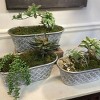 Slickblue Decorative Oval Planter, Basketweave Texture Flower Pot, Indoor & Outdoor, Natural, 3 Size Options - 4 of 4