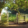 VINGLI Garden Arbor, Arch Archway for Wedding Ceremony Party, Steel Garden Trellis for Plant Climbing, Backyard, Lawn - 2 of 4
