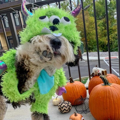 Halloween Dog Basketball Jersey - XL - Hyde & EEK! Boutique™