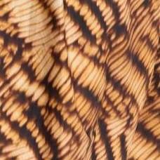 nature texture