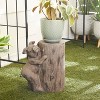 16" x 16" Modern Farmhouse Magnesium Oxide Pig Garden Sculpture Brown - Olivia & May: Outdoor Patio Decor, Playful Accent - 2 of 4