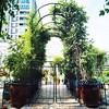 COMHOMA Metal Garden Arch with Gate and Plant Pot Garden Arbor Trellis Climbing Plants Support Rose Arch Black - 4 of 4