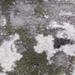 grey/green