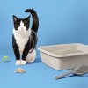 Lightweight Fragrance Free with Baking Soda Clumping Cat Litter - up&up™ - 2 of 3