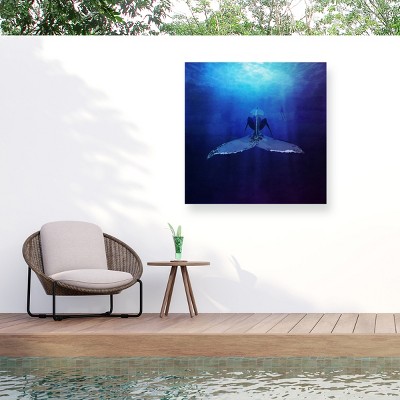 Trademark Fine Art - Emel Tunaboylu  Whale Matted Framed Art