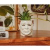 Silver Buffalo Halloween Michael Myers 3-Inch Ceramic Mini Planter With Artificial Succulent - 4 of 4