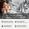 BedVoyage 300 Thread Count Luxury 100% Viscose from Bamboo Pillowcase Set - 2 of 4